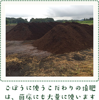 ごぼうに使うこだわりの堆肥 は、苗床にも大量に使います